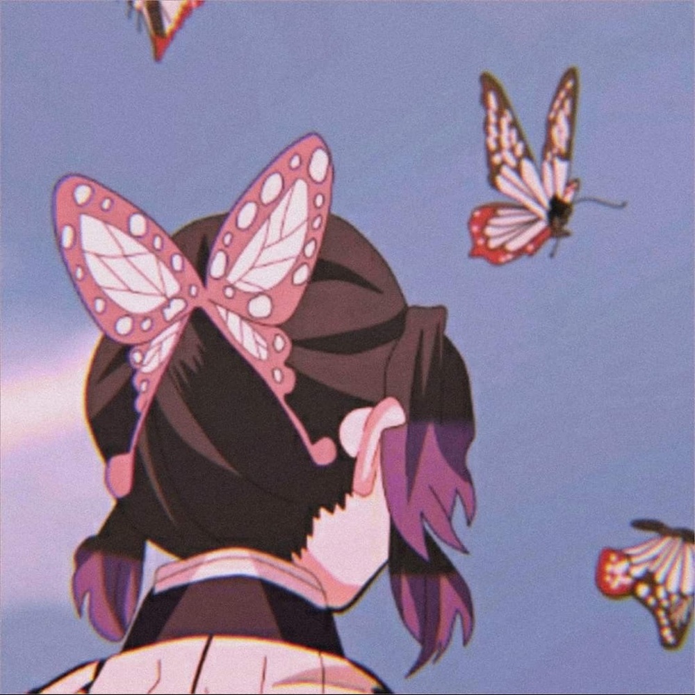 Meet your Posher, Anna